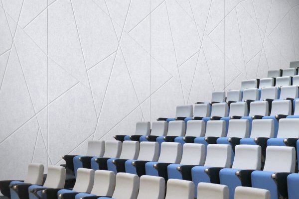 Akouo-GiosFelt-Carve-grooved-wall-panels-FT20-auditorium Akouo-GiosFelt-Carve-grooved-wall-panels-FT20-auditorium