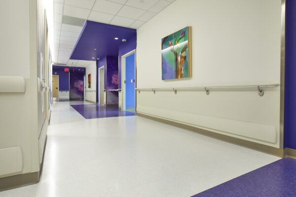Wall Protection In a Hospital Setting